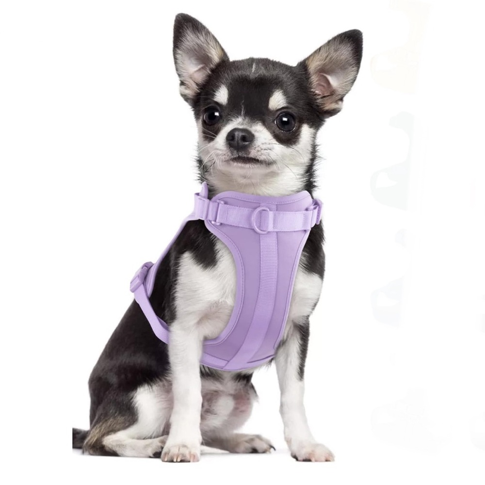 Wisedog lilac (purple) dog harness, size small, NWT.